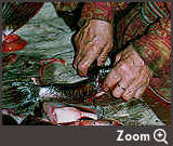 Zoom Six