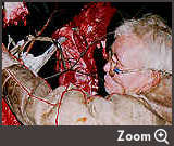 Zoom Seven