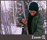 Zoom Five