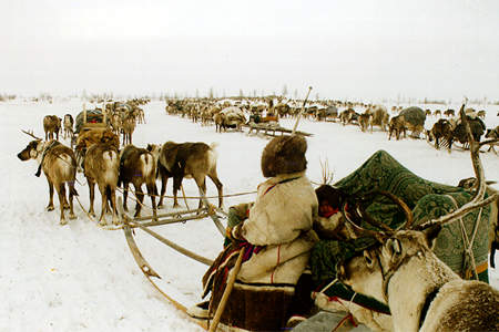 Migration begins